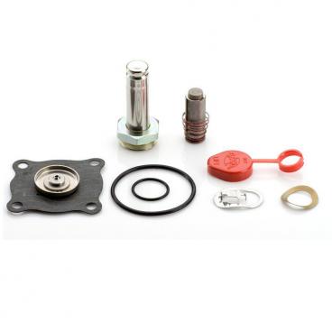 Asco Part# 304-352-E Repair Kit (OEM)