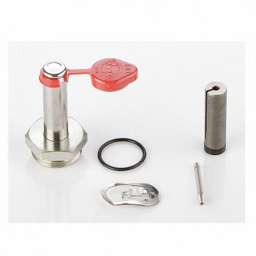 Asco Part# 304-354-V Repair Kit (OEM)