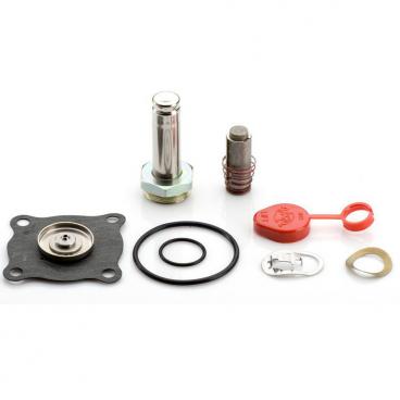 Asco Part# 304-355-E Repair Kit (OEM)