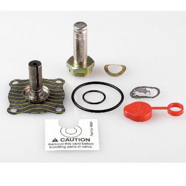 Asco Part# 304-359 Rebuild Kit (OEM)