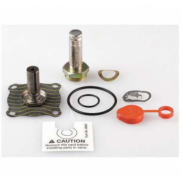 Asco Part# 304-361-V Repair Kit (OEM)