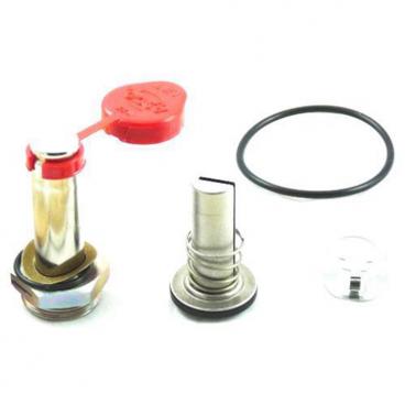 Asco Part# 304-387 Asco Repair Kit (OEM)