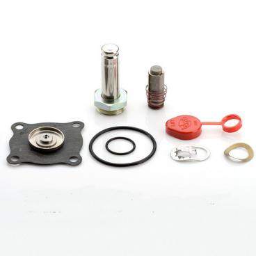 Asco Part# 306-009-V Repair Kit (OEM)