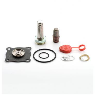 Asco Part# 306-691-G Asco Repair Kit (OEM)