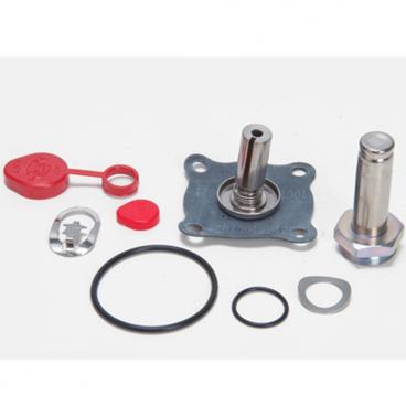 Asco Part# 310-387-HW Rebuild Kit (OEM)