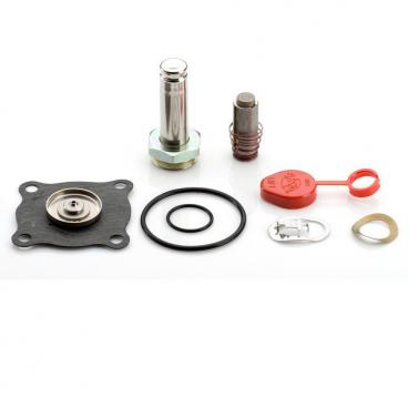 Asco Part# 310-421-HW Asco Repair Kit (OEM)