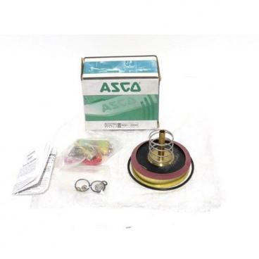 Asco Part# 310-428-HW Asco Repair Kit (OEM)