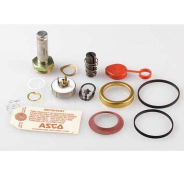 Asco Part# 312-702 Repair Kit (OEM)