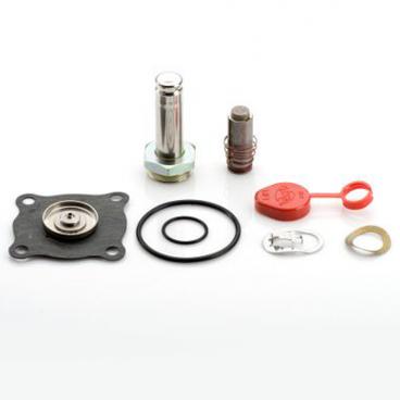 Asco Part# 314-450 Repair Kit (OEM)