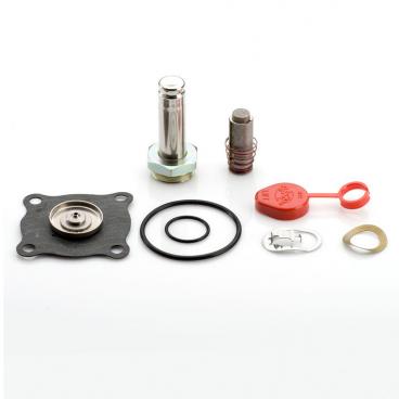 Asco Part# 314-481 Rebuild Kit (OEM)