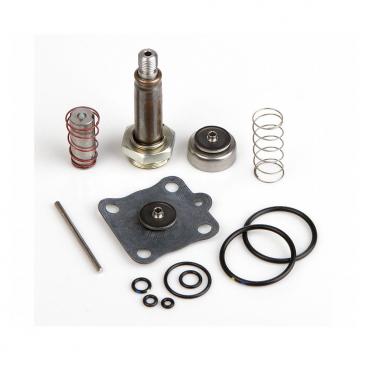 Asco Part# 314-491 Asco Repair Kit (OEM)