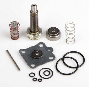 Asco Part# 314-492 Repair Kit (OEM)