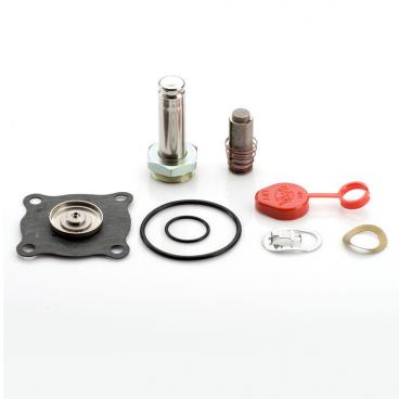 Asco Part# 316-324 Repair Kit (OEM)