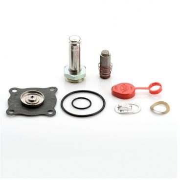 Asco Part# 316-347-V Rebuild Kit (OEM)