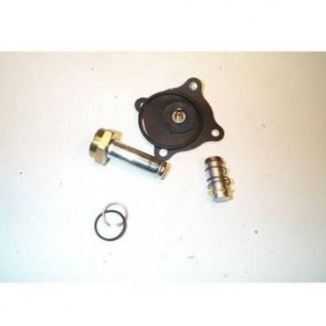 Asco Part# 316-669 Asco Repair Kit (OEM)