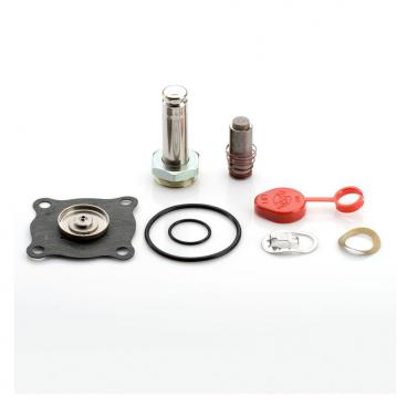 Asco Part# 316-732 Repair Kit (OEM)