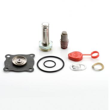 Asco Part# 316-966 Rebuild Kit (OEM)