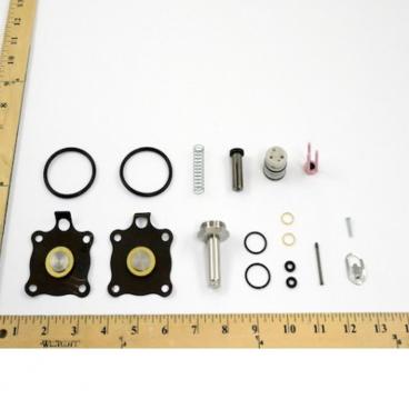 Asco Part# 318-160 Repair Kit (OEM)