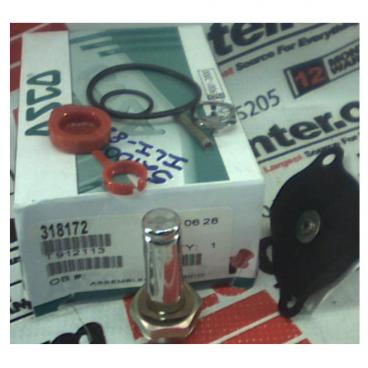 Asco Part# 318-172 Repair Kit (OEM)