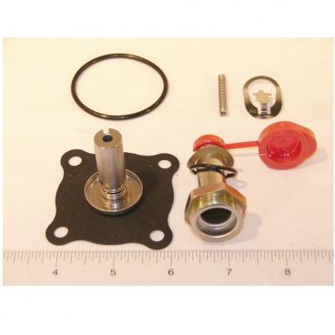 Asco Part# 318-173 Repair Kit (OEM)