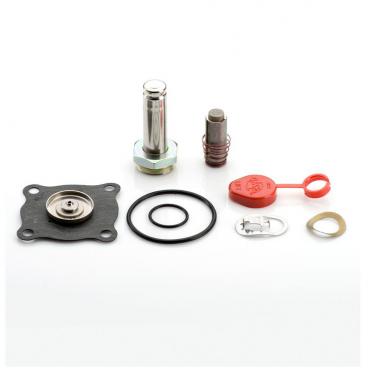 Asco Part# 318-260-G Rebuild Kit (OEM)