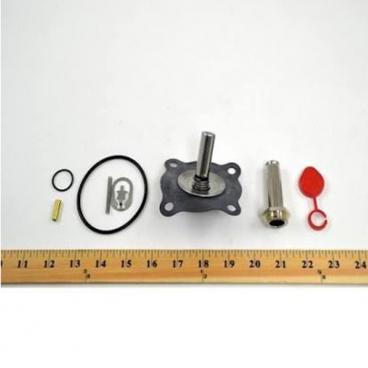 Asco Part# 323-300 Repair Kit (OEM)