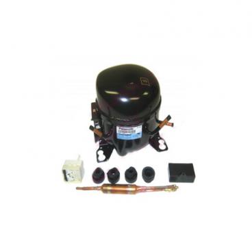 Amana A4TCNWFBW01 Compressor Kit - Genuine OEM