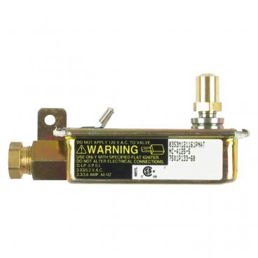 Hardwick CKG9622W439RGB Gas Safety Valve - Genuine OEM