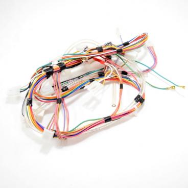 Whirlpool CAM2742TQ2 Washing Machine Wiring Harness - Genuine OEM