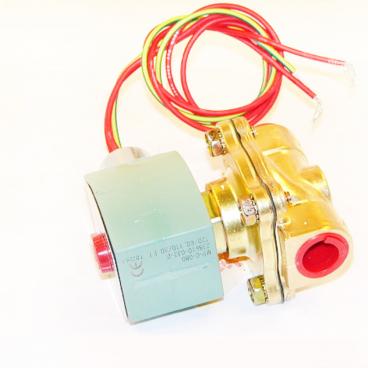 Asco Part# 8210G94HW-240V 1/2 inch 240V Hot Water Valve (OEM)