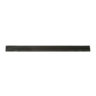 GE DDT595SBL5TS Dishwasher Tub Trim (Black) - Genuine OEM