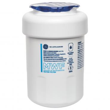 GE DSE25JGHBCWW Water Filter (SmartWater) - Genuine OEM