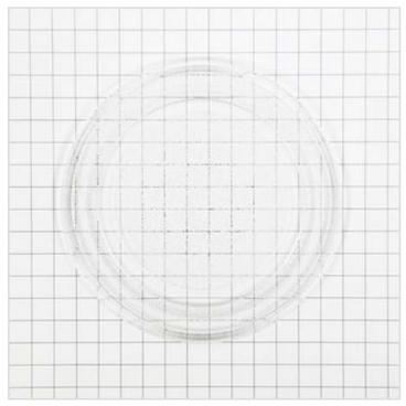 GE JES1456DS3BB Rotating Glass Cooking Tray - Genuine OEM