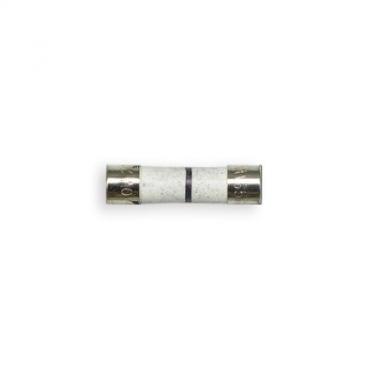 GE PSA9240DF1BB Replacement Line Fuse - Genuine OEM