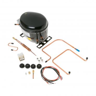 GE TBF14XKBL Compressor Kit (R-12) - Genuine OEM