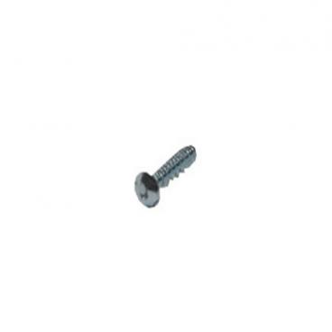 Saeco Part# 996530013165 Tcb Torx Screw (OEM) 10