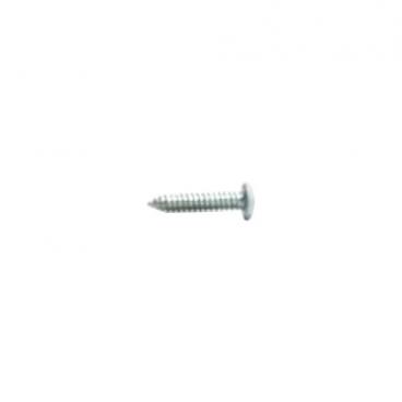 Whirlpool Part# W10531303 Screw (OEM)