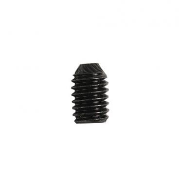 Whirlpool Part# WPW10010150 Screw (OEM)