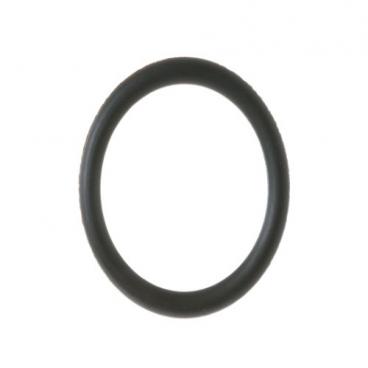 GE Part# WS03X10028 O Ring (OEM)