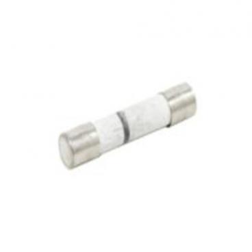 Amana AMV5164ACS in-line Fuse - Genuine OEM