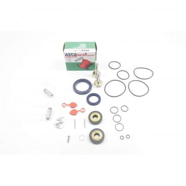 Asco Part# 302-746 Rebuild Kit (OEM)