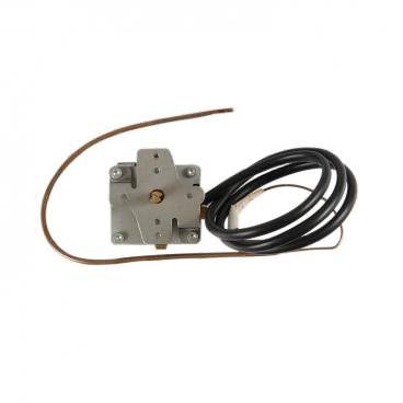 Amana CBE22AAG Thermostat - Genuine OEM