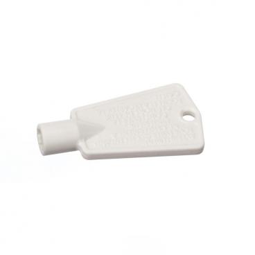 Hotpoint FH20CFC Plastic Door Key Genuine OEM