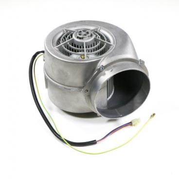 Bosch DHG6015DUC/01 Fan Motor - Genuine OEM