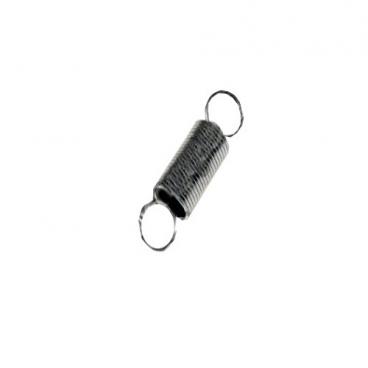 Panasonic Part# F30216P40AG Spring (OEM)