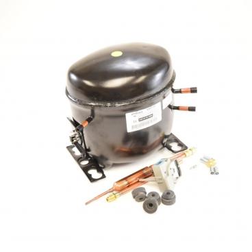 GE CFE29TSDCSS Compressor Kit - Genuine OEM