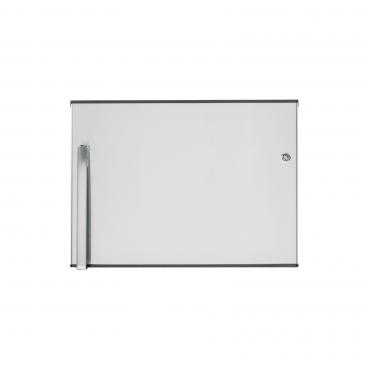 GE GTE21GSHCSS Freezer Door (Stainless)