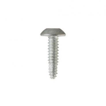 GE CFE28TSHKSS Torx Screw (1/4-20) - Genuine OEM