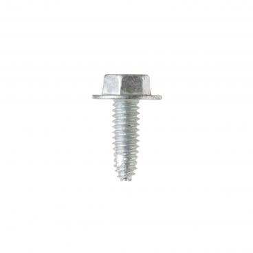 GE CFE28UELCDS External Hex Screw (1/4-20) - Genuine OEM