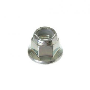 GE GFD55GSSN0WW Pulley Nut - Genuine OEM